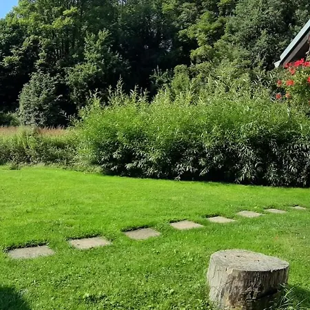 Bed & Breakfast U Studánky 3*